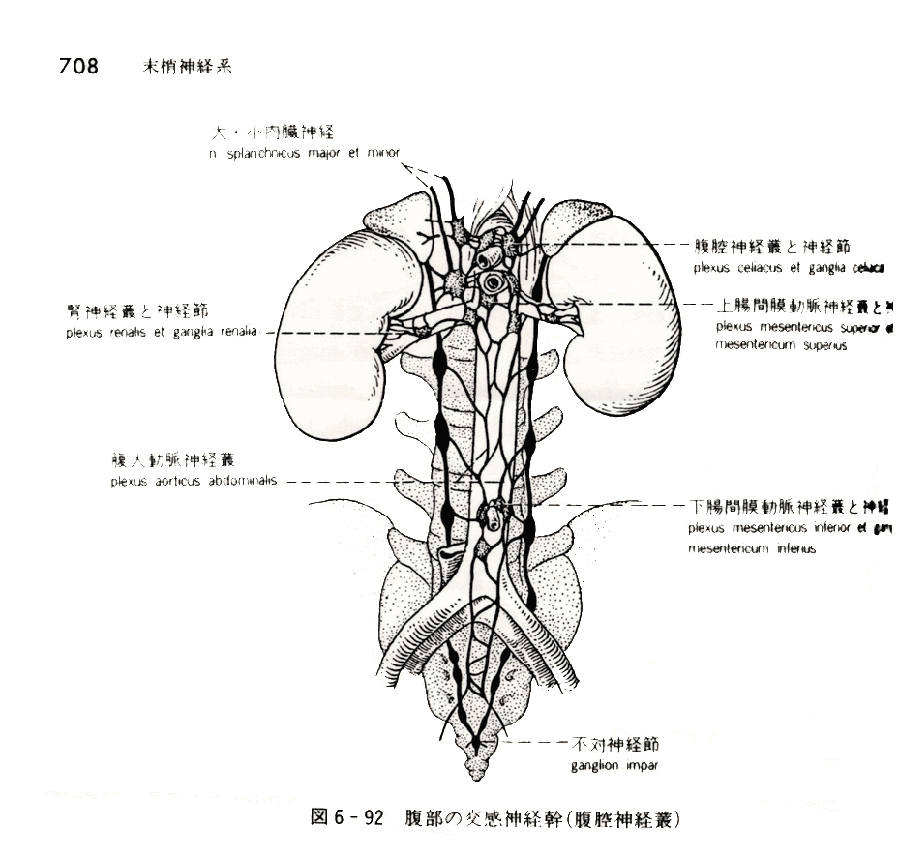 神経6-92図