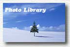 Photo Librarỹy[Wł