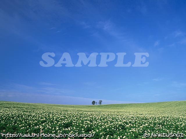 �T���v��001