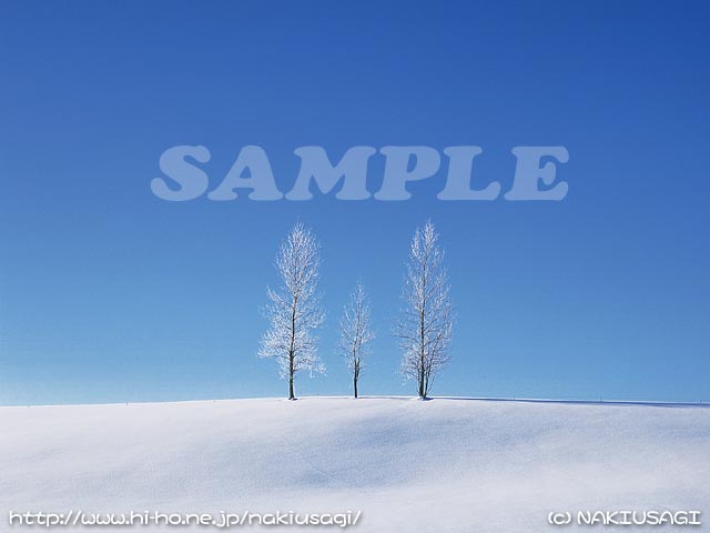 �T���v��002