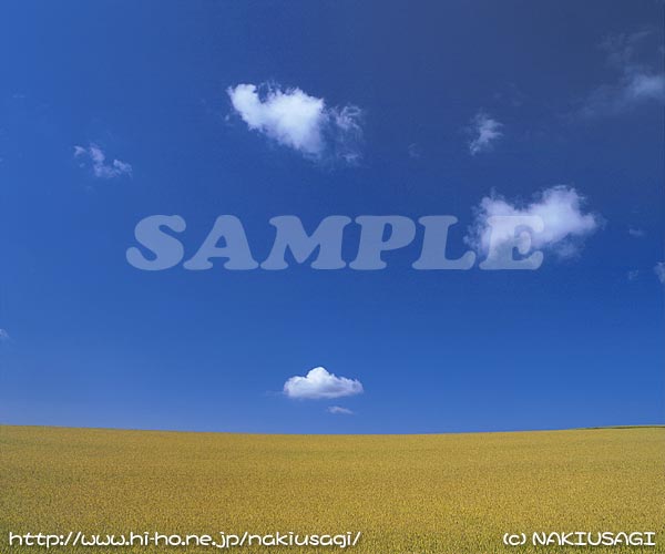 �T���v��003