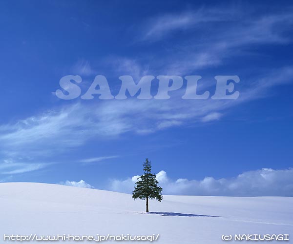 �T���v��004