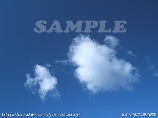 �T���v��006