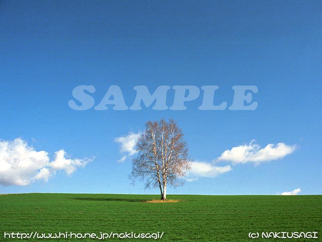 �T���v��007