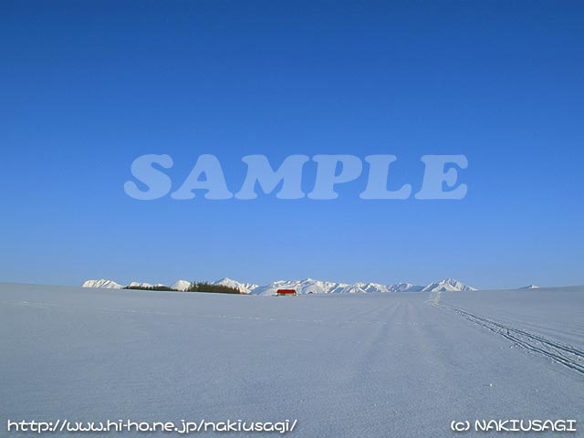 �T���v��008