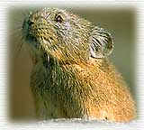 �i�L�E�T�M