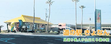 ̉wȂ