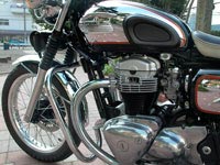 W650ɂ񂽂덆