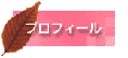 �v���t�B�[��