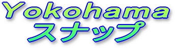 ���l�X�i�b�v