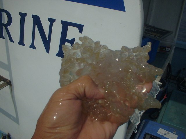 img0012.jpg
