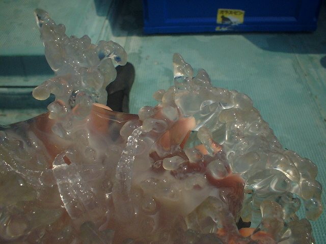 img0015.jpg