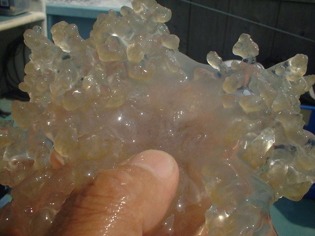 img0022.jpg
