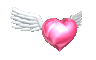 �G���N�g�[���T��
