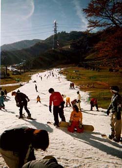 �v�����X�Q�����f