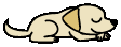 �ʐ^�R