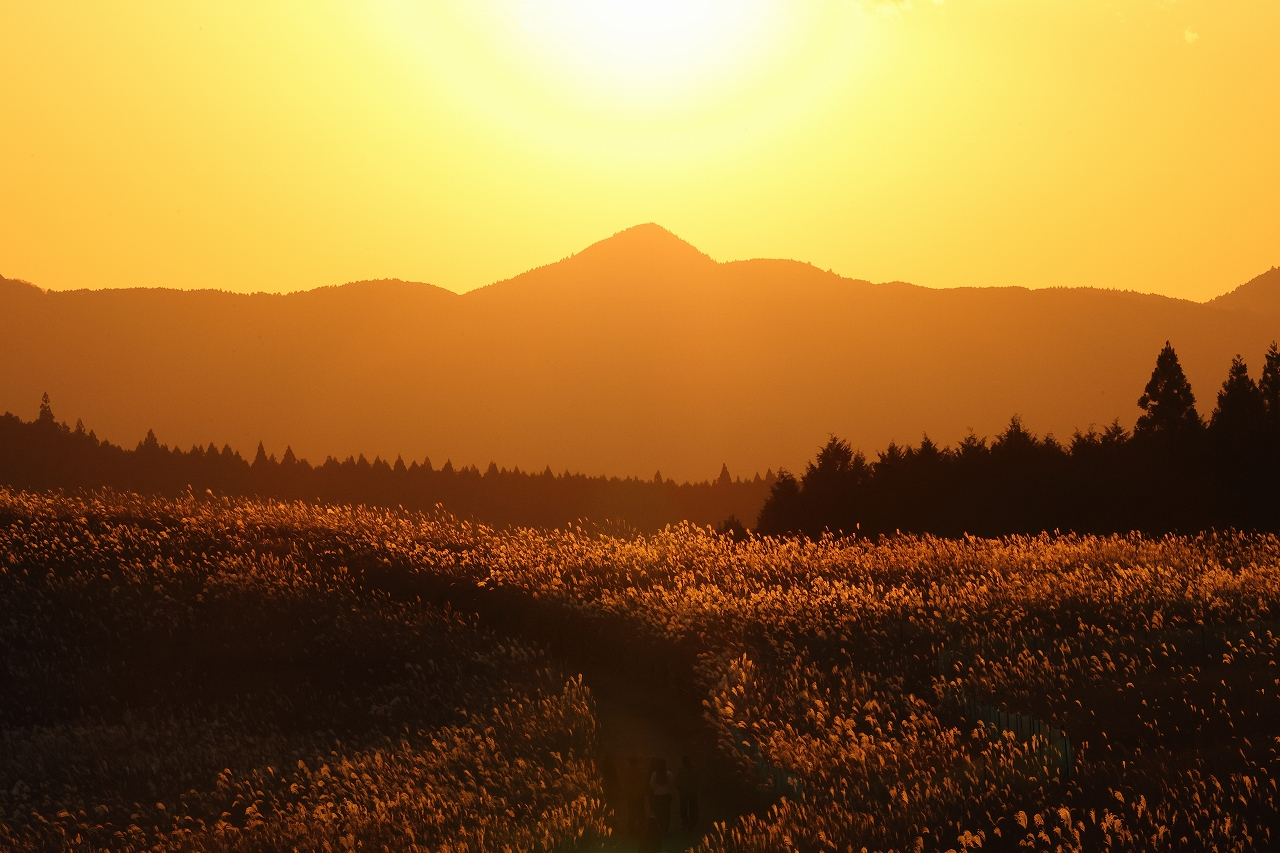 第28回挑光会フォトアート展「煌めきの中で Ⅰ」