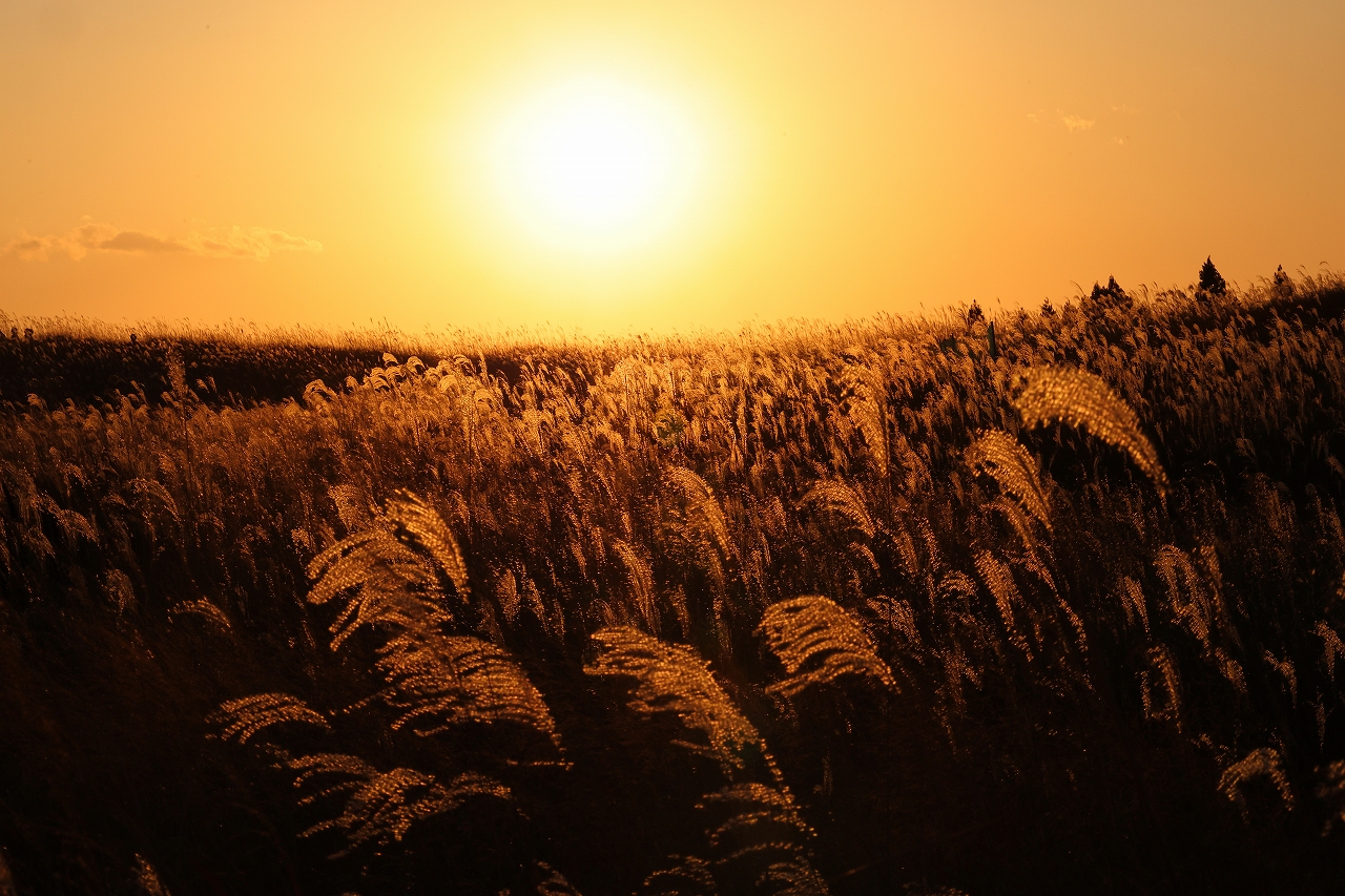 第28回挑光会フォトアート展「煌めきの中で Ⅱ」