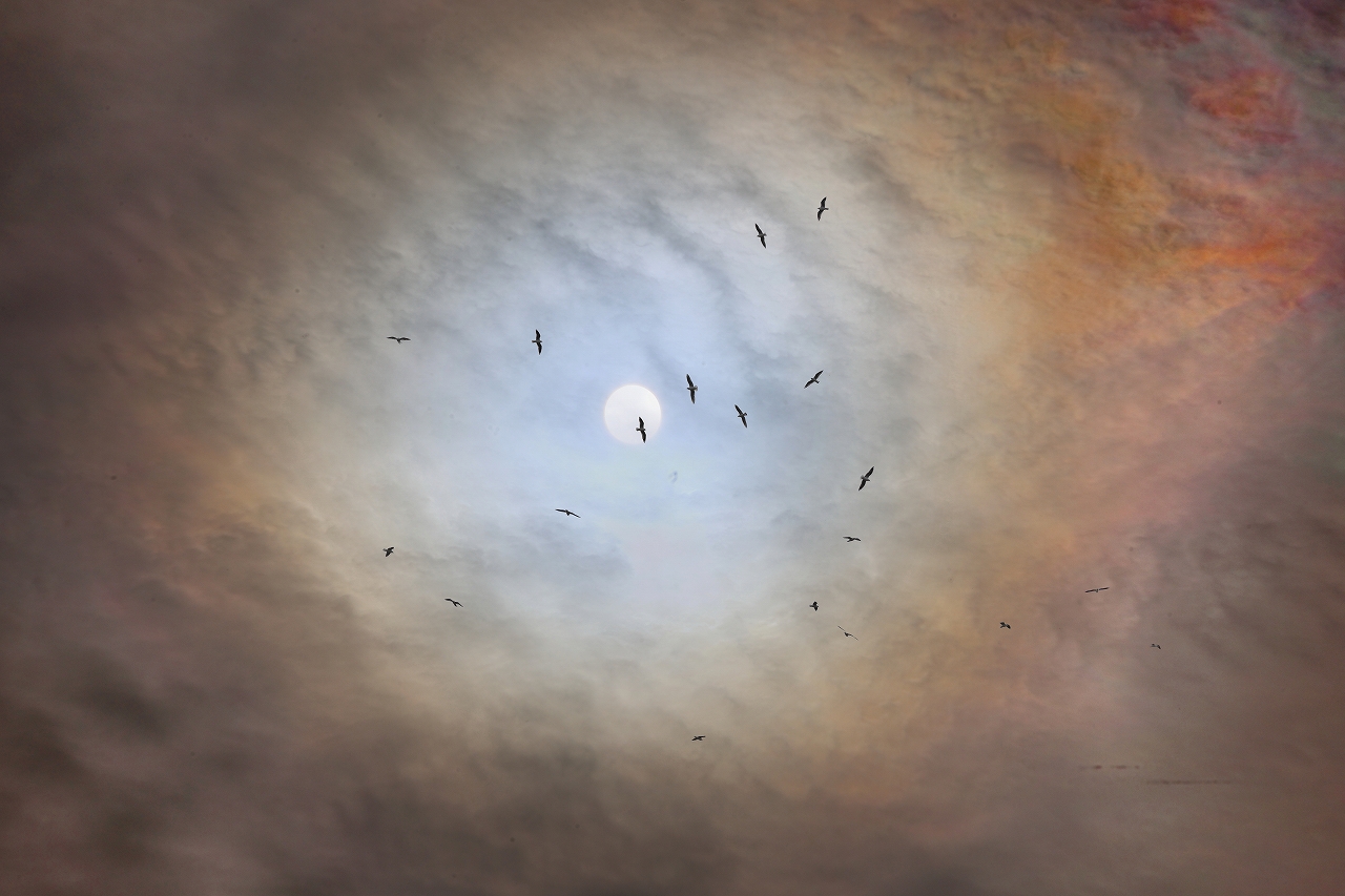 第28回挑光会フォトアート展「JUST IN Ⅱ」