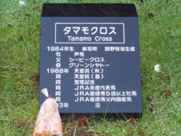 お墓です