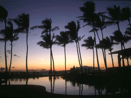 �v�[���T�C�h�̗[��