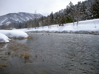 魚野川