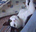 �i�I�����A�@�y��