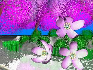 桜