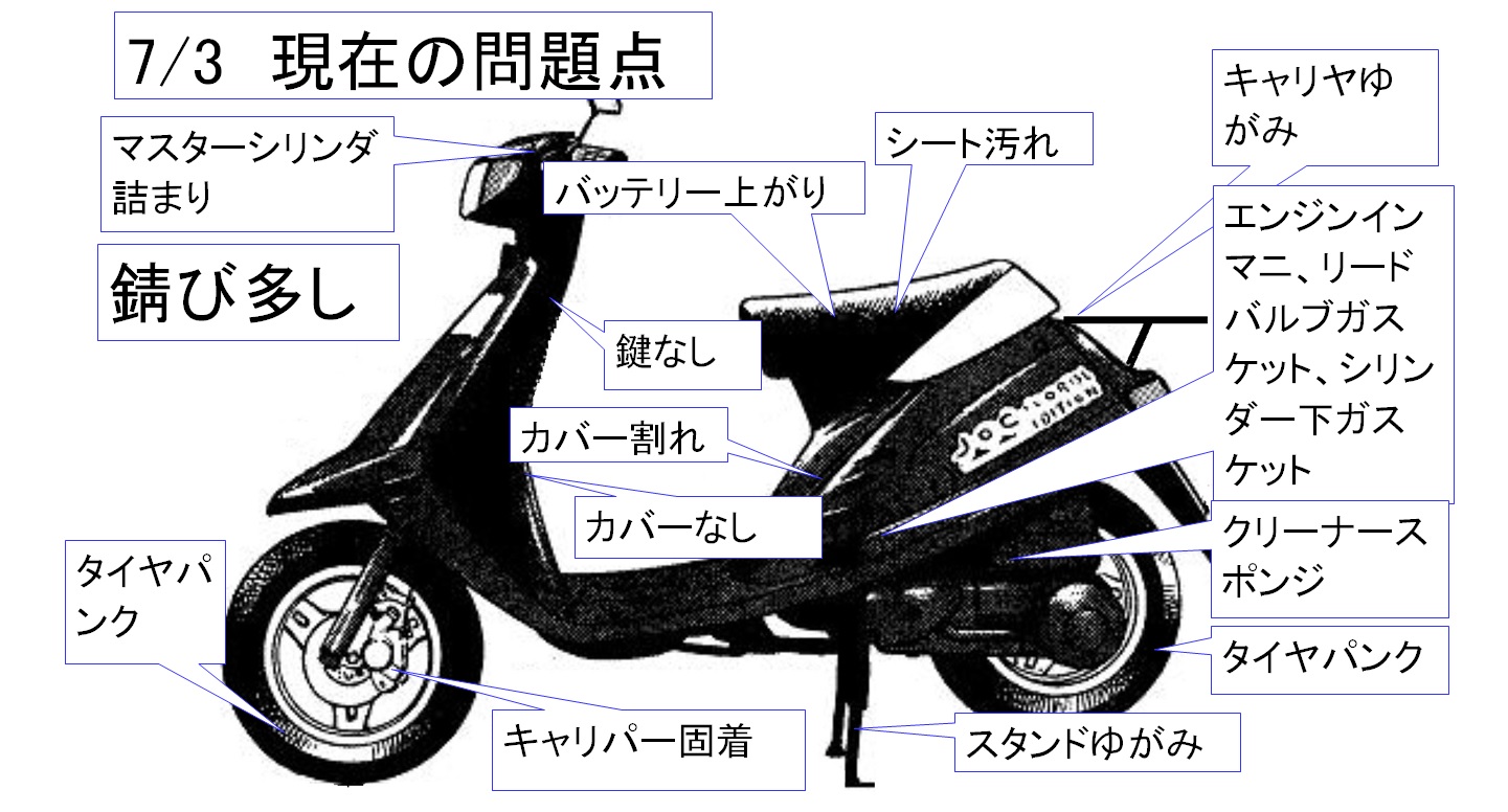 亀さんの日記 ギャラリー・写真館