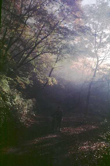 ���Ɍ������S�E�Ԑ��k�J(29KB)