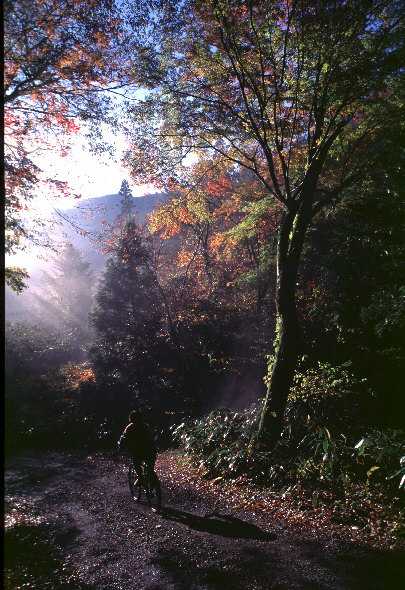 ���Ɍ������S�E�Ԑ��k�J(51KB)