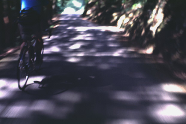 �a�̎R�������K�S�哃���E�q�R�V�P(43KB)