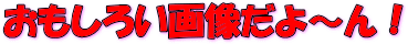 낢摜`I
