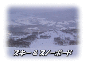 �X�L�[&�X�m�[�{�[�h