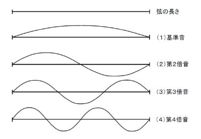 弦の振動波形