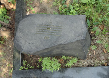 �V���j�g�P�̂���