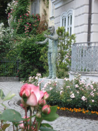 �J�������̐���