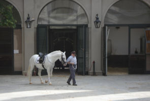 �X�y�C����n�w�Z