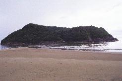 �܂��Ă��܂����B
