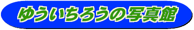 �䂤�����낤�̎ʐ^��