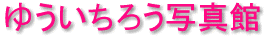 �䂤�����낤�ʐ^��