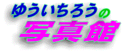 �䂤�����낤�ʐ^��