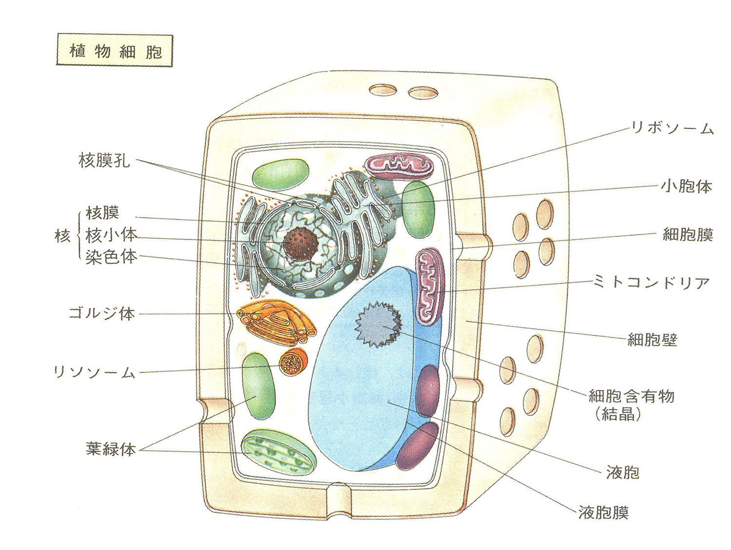 origin_of_life