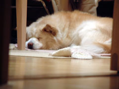 photo_taku_004