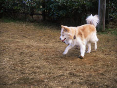 photo_taku_006