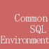 Common SQL Environment