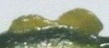 ubNoXwт摜