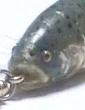 ̊摜