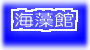 �C����