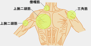 �ؓ��̎�ޑO��